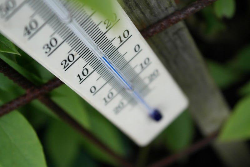 В понедельник в Москве ожидается температура до 3°C
