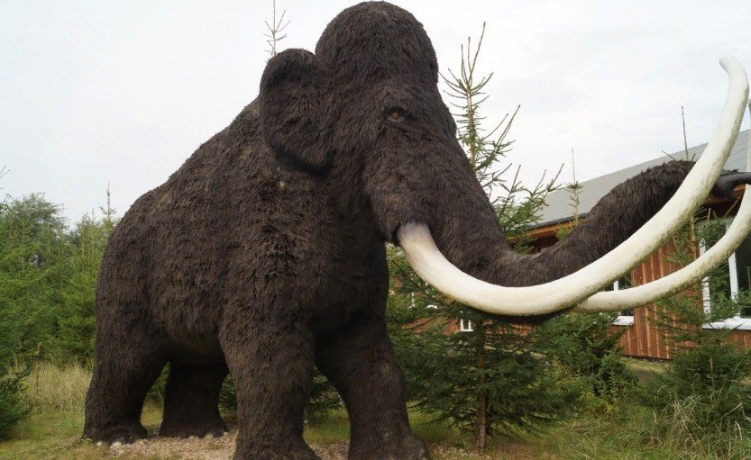 На юге России найдены скелеты мамонтов и лошадей древних времен