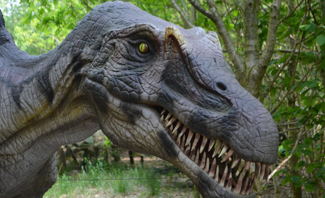 Sciences: Динозавры на самом деле могли быть не такими страшными