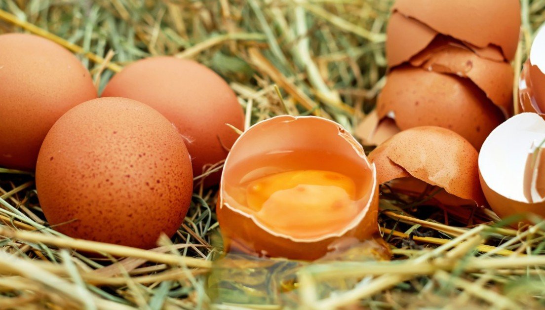 Набиуллина: Цены на куриное яйцо выросли из-за высокого спроса