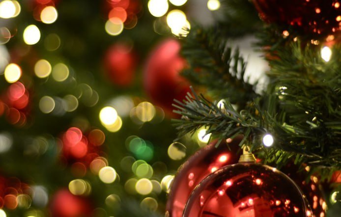 Эксперты назвали новогоднюю елку полезным ресурсом после праздников