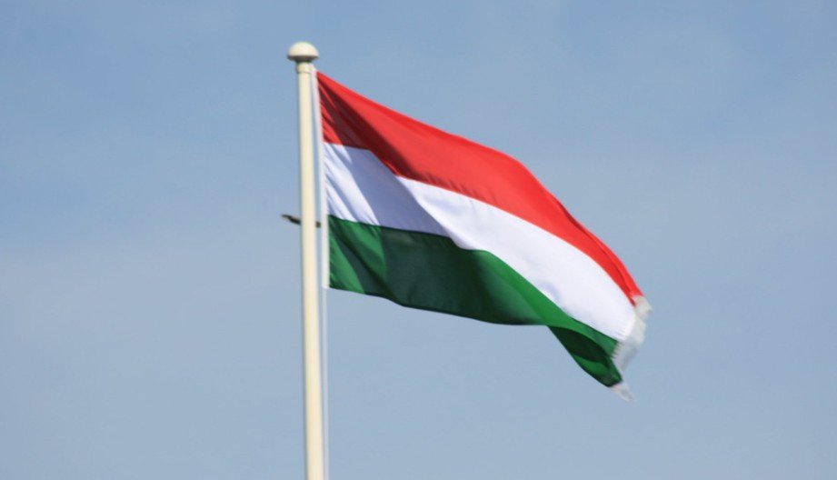 FT: Протесты бельгийских фермеров связали с премьер-министром Венгрии