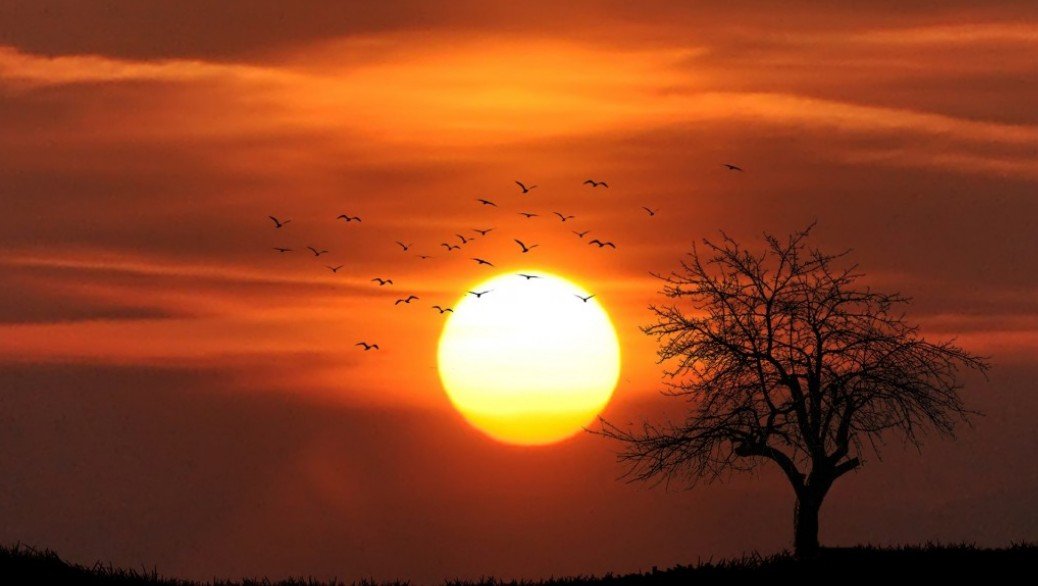 Солнце повернулось к Земле самой активной областью: Что это означает для планеты