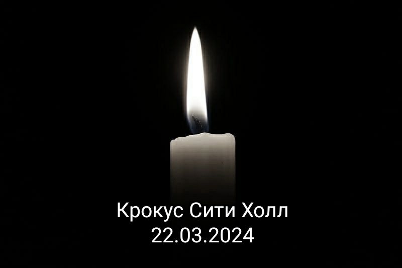 Парламентарии Республики Сербской выразили почтение погибшим в результате теракта в подмосковном "Крокус Сити Холле"