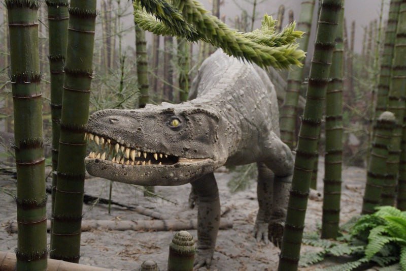 Следы хищного динозавра обнаружены в провинции Фуцзянь