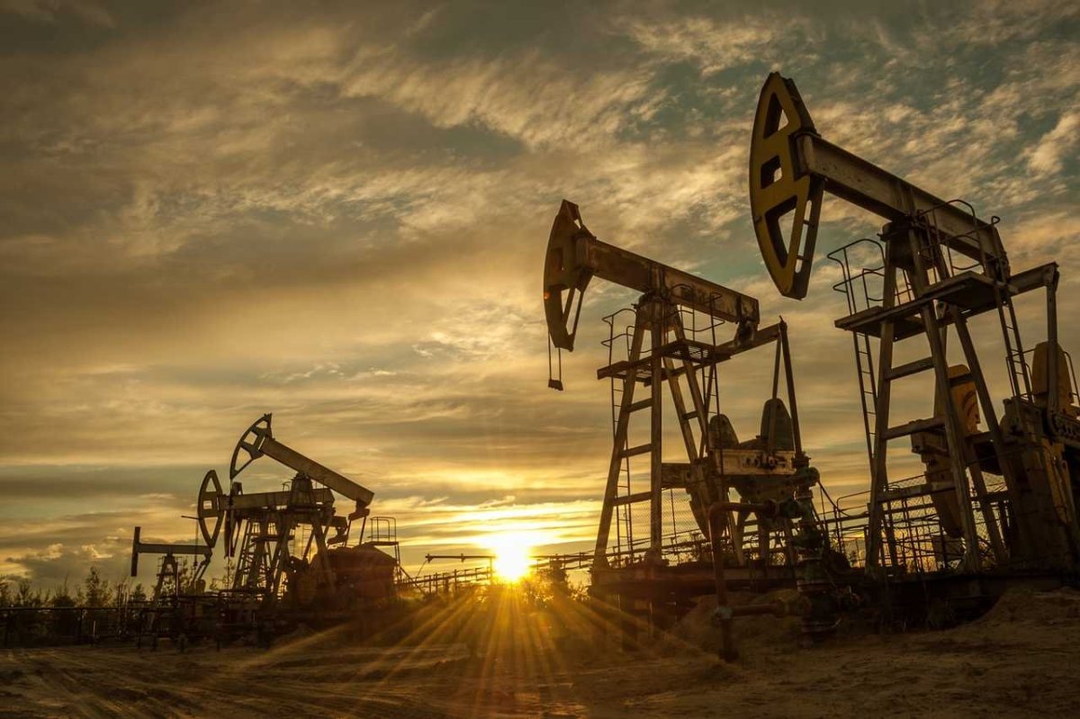 Министр нефти Индии призвал нарастить добычу углеводородов в стране