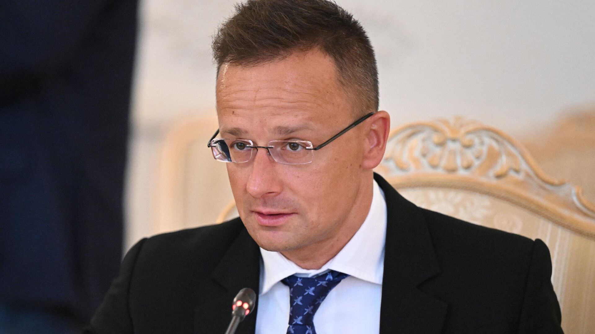 Сикорский обвинил Венгрию в отсутствии моральной ясности по конфликту на Украине