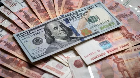Moneyman: 46,7% опрошенных россиян ожидают доллар по 100 руб. до конца сентября