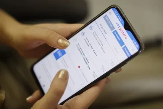 ОП РФ предложила сделать раздел для молодых семей на портале «Госуслуг»