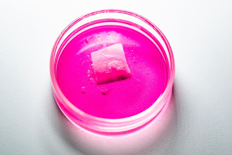 В НИТУ МИСИС создали биоэквивалент мышечной ткани человека