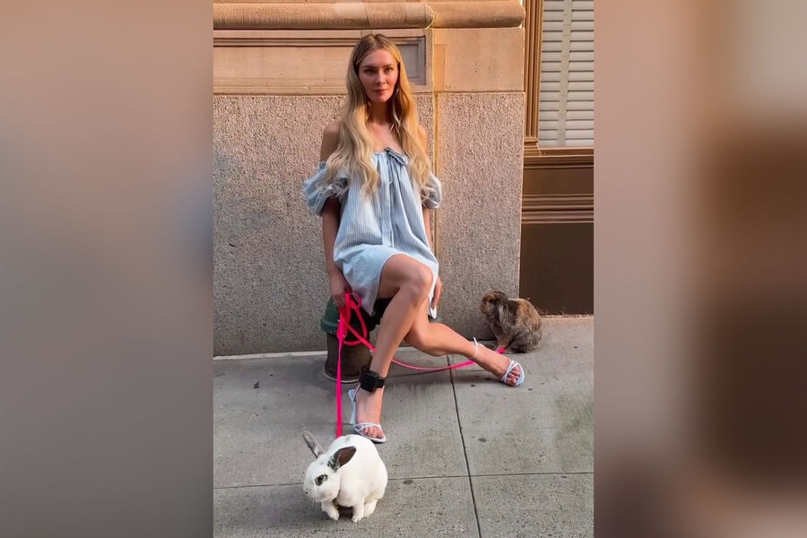 Мошенница Делви пожертвовала $1 млн на благотворительность кроликам после скандала