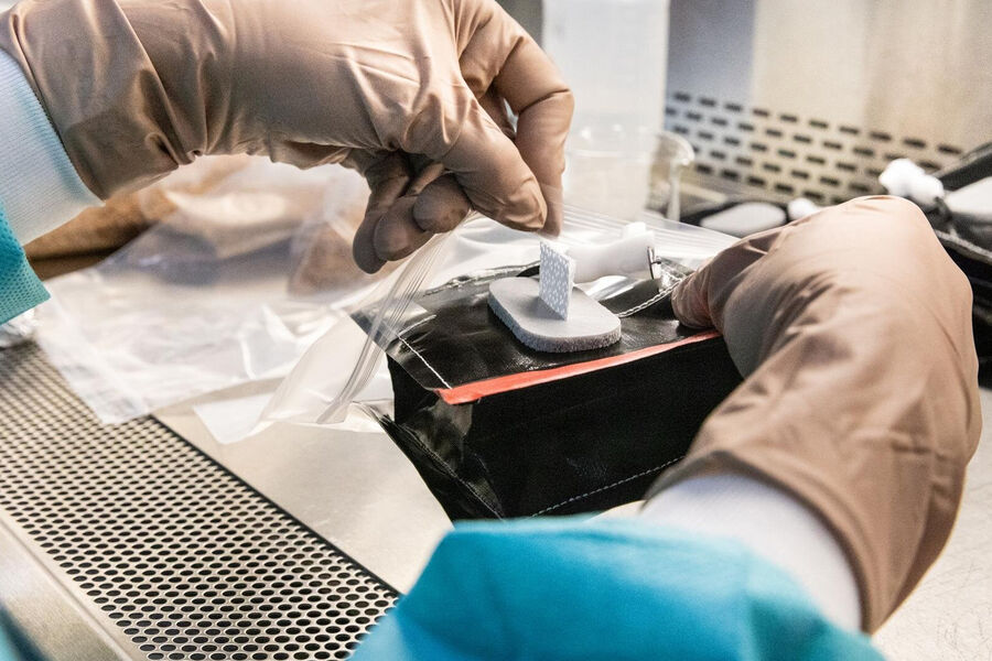 NASA: начат новый этап «космического земледелия» на МКС