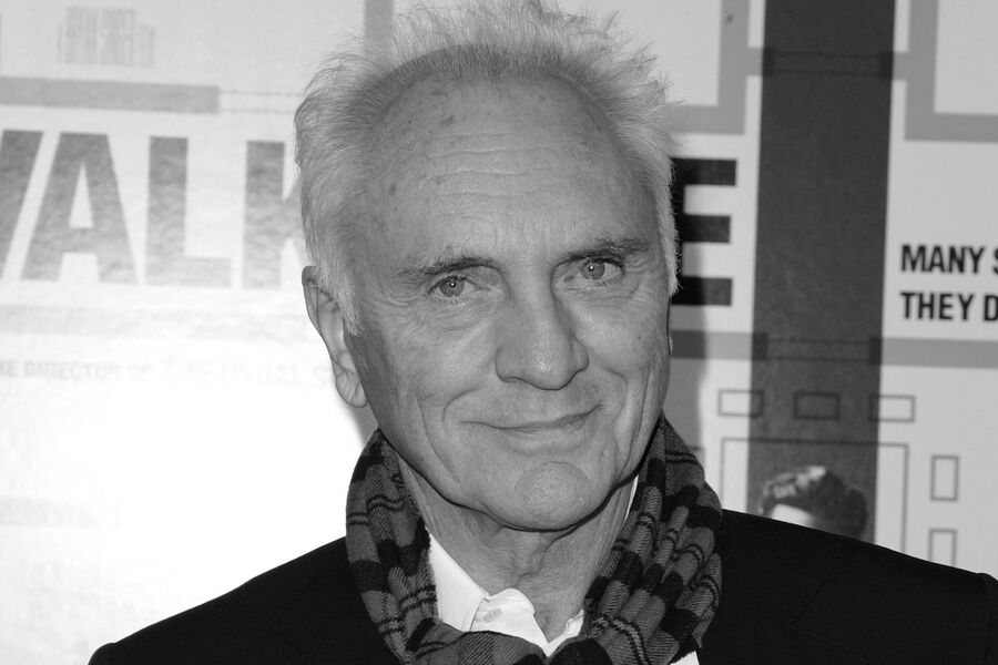 Британский актер Теренс Стэмп скончался в возрасте 88 лет