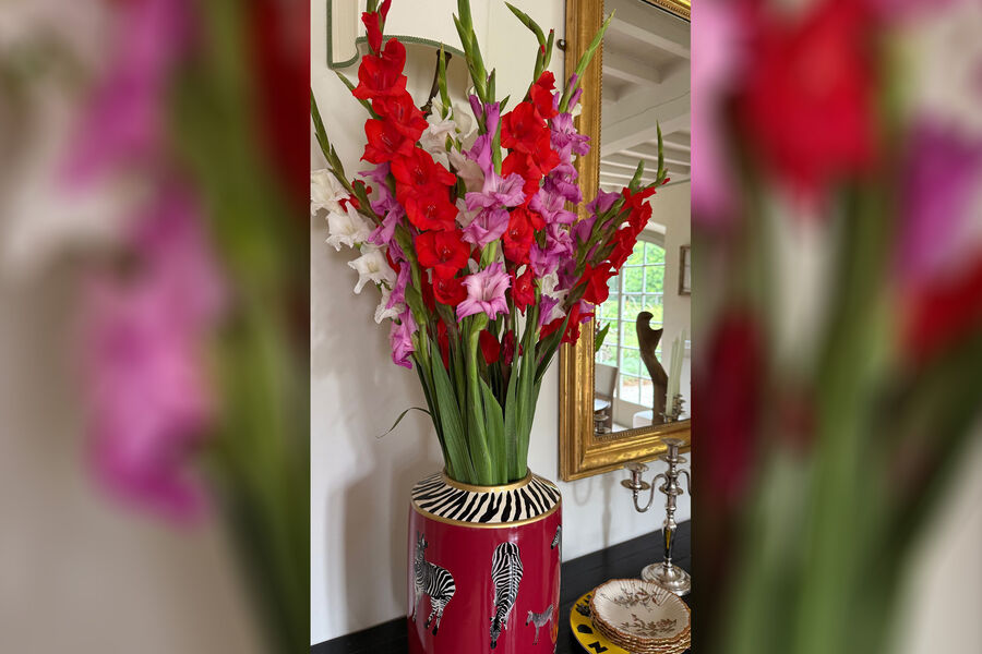 Актриса Юлия Высоцкая опубликовала редкие фото интерьера виллы в Италии