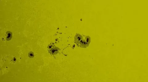 ИКИ РАН: за сутки на Солнце появилось не менее 100 новых пятен