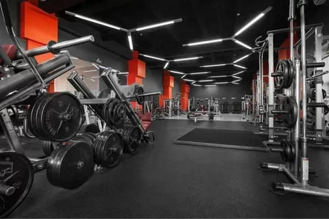 Сеть клубов DDX Fitness запустила академию для подготовки фитнес-тренеров