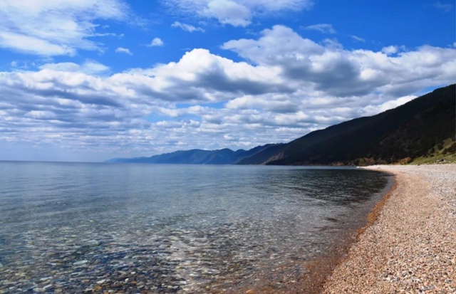 В Иркутской области мужчина отбился от медведя