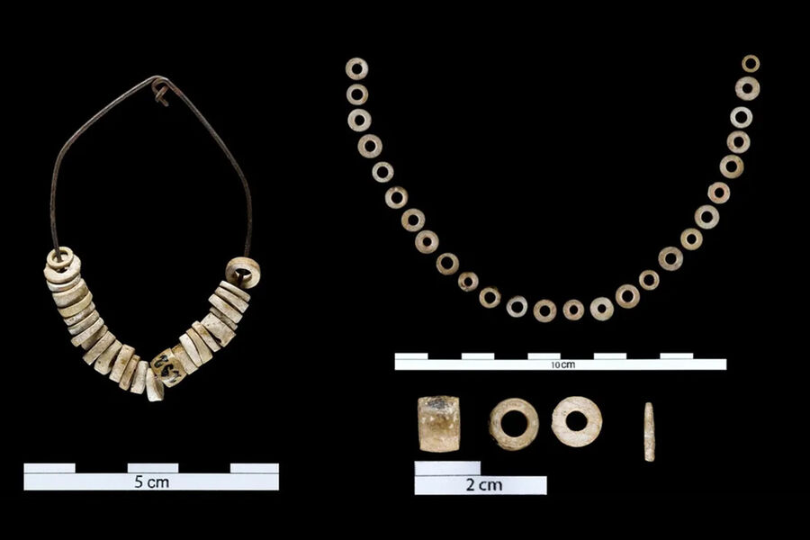 Quaternary: древние люди изготавливали ожерелья только из двух видов раковин