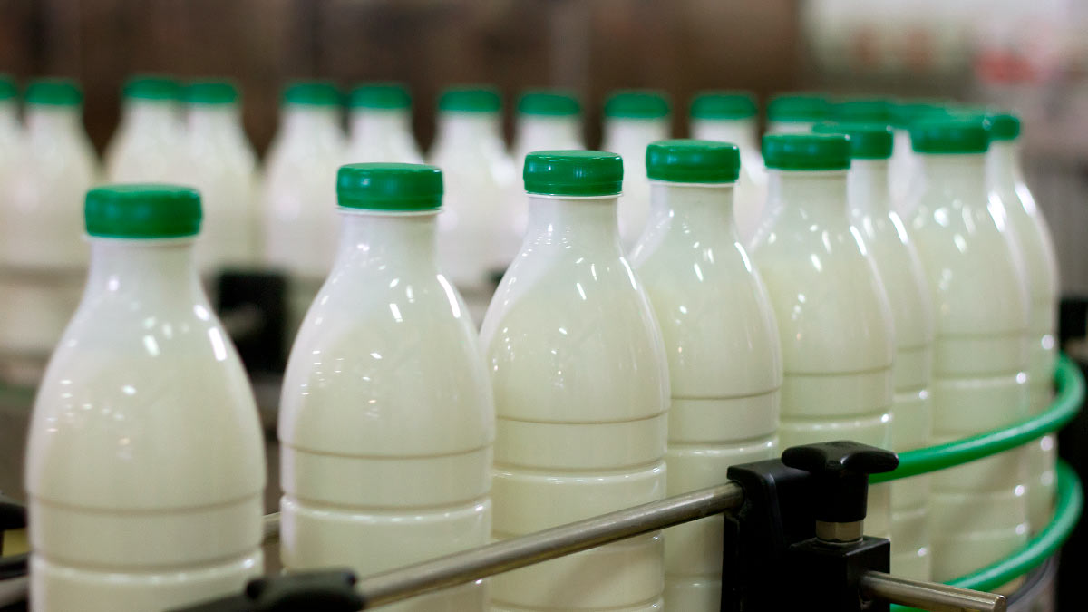 «Нильсен»: в России из-за подорожания молока потребление снизилось на 10,8%