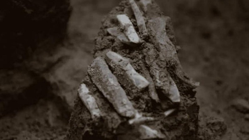 JРА: в Чехии найден набор инструментов охотника возрастом 30 тысяч лет