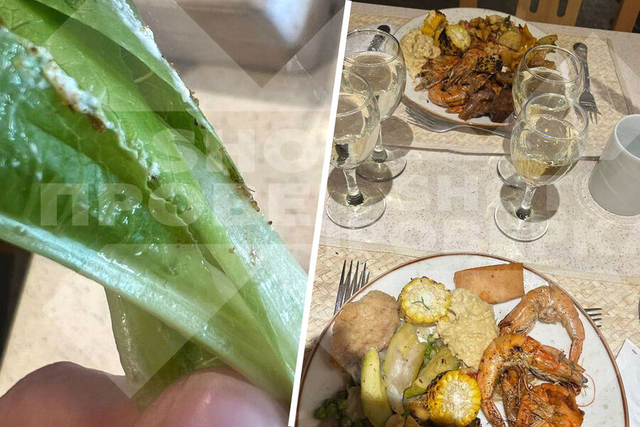 SHOT: в Египте российская пара отравилась в столовой отеля