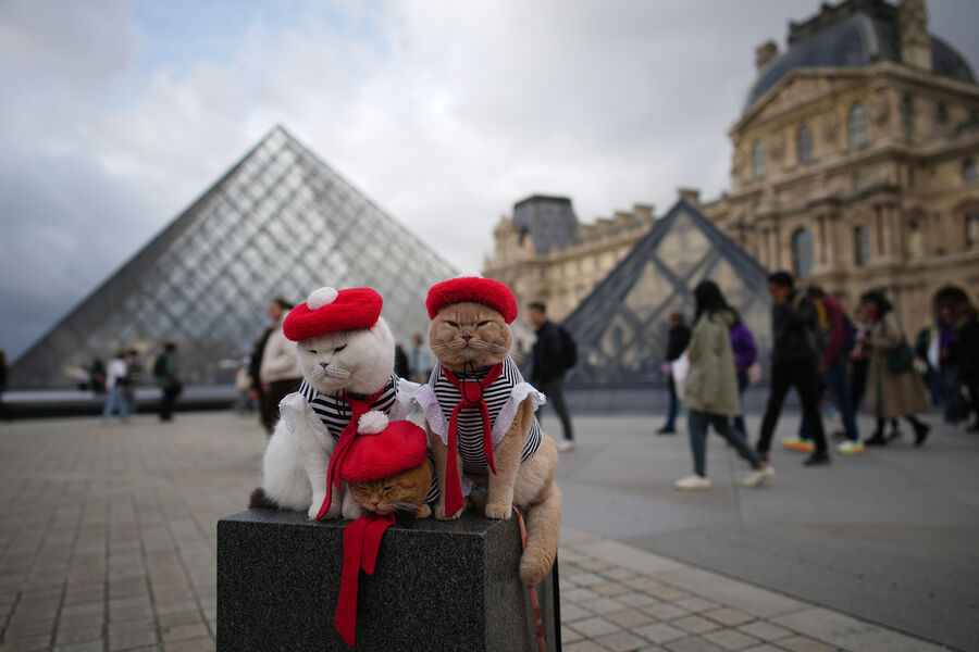 Цены в Лувр для туристов из стран, не входящих в ЕС, повысят на 45%