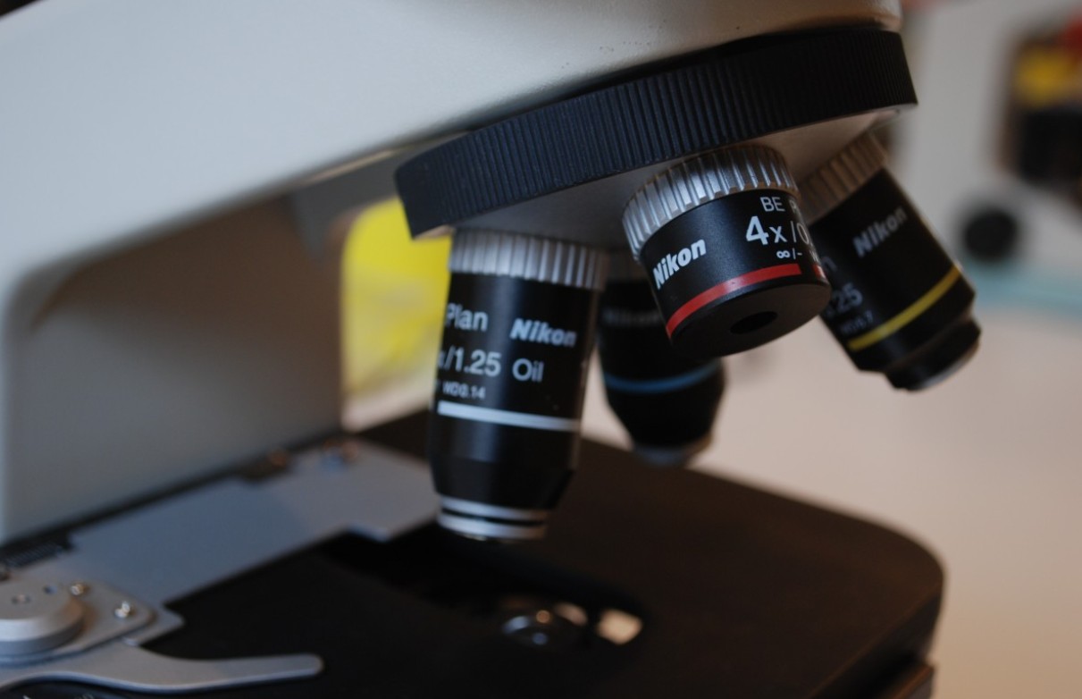 Короткий срок воздержания перед ЭКО увеличивает шансы на успешную беременность