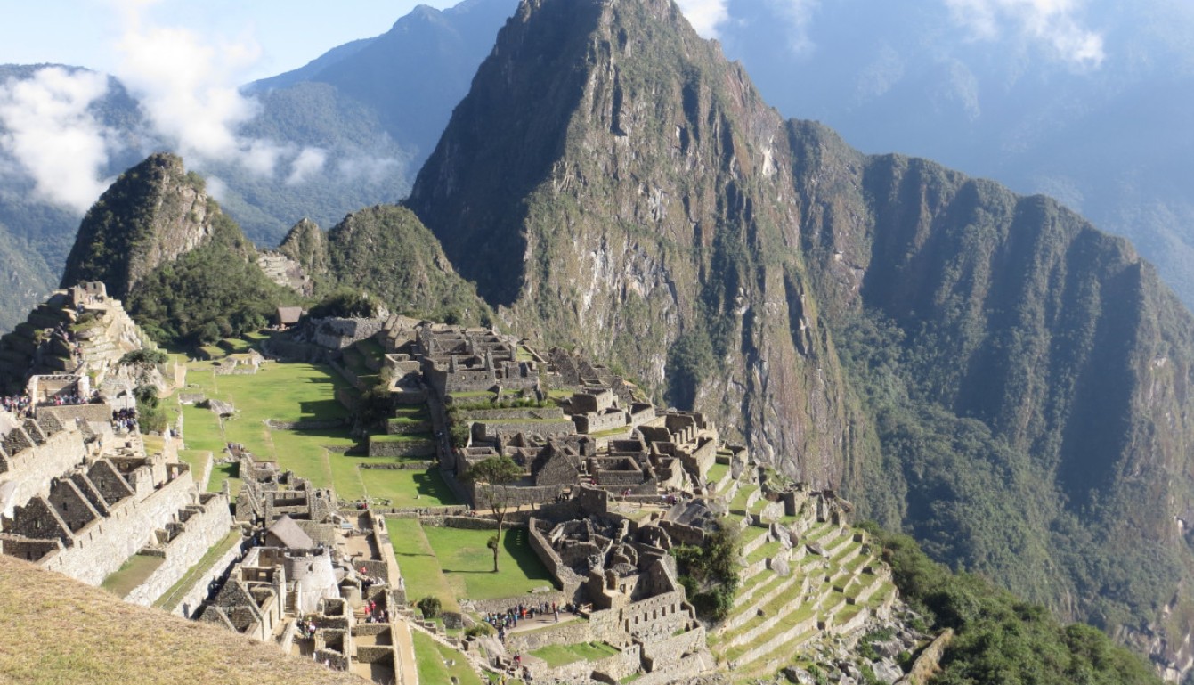 Ученые обнаружили, что саблезубые кошки обитали в лесах Сибири