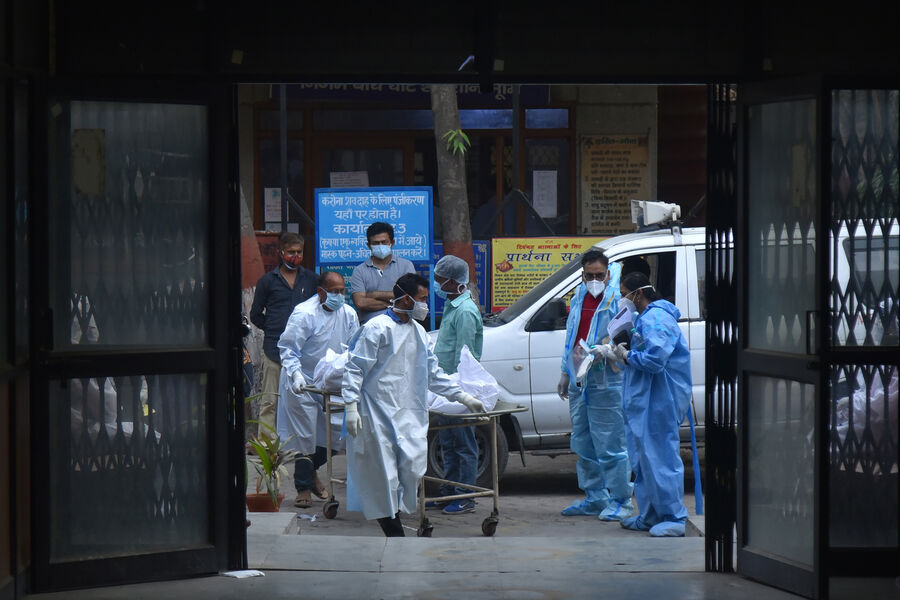 Минздрав Вьетнама приказал усилить эпидемиологический контроль из-за вируса Нипах