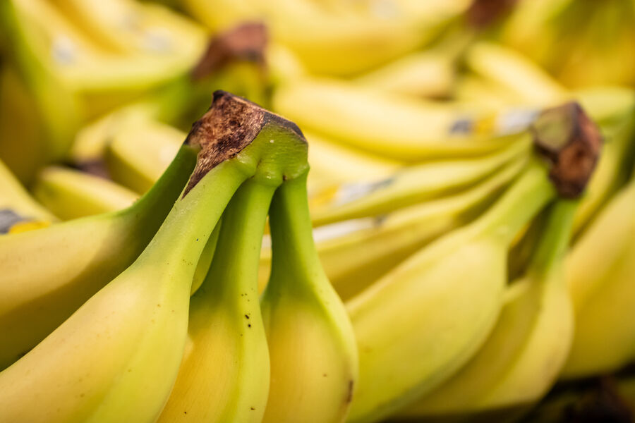 Врач Соловьева: бананы и виноград стоит ограничить на похудении