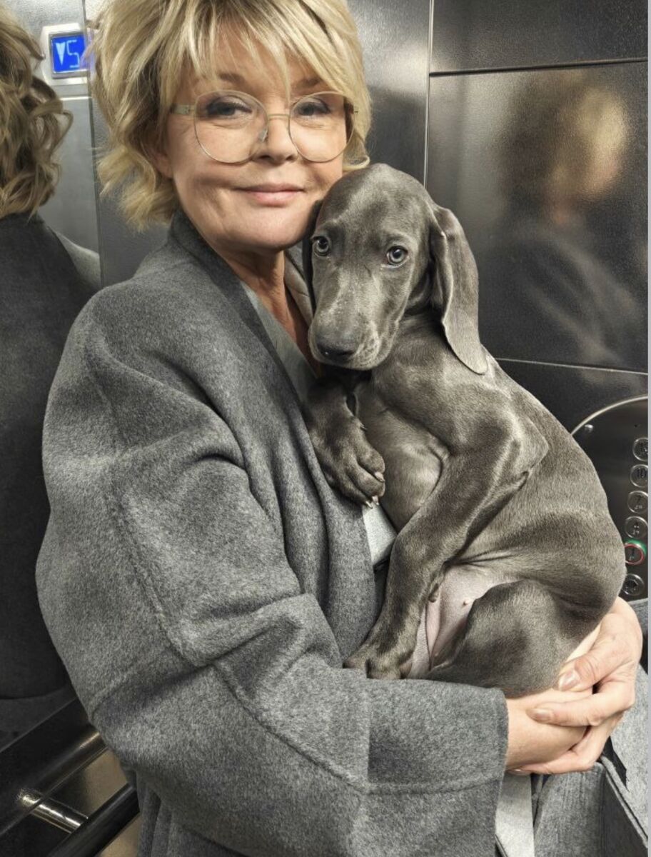 Юлия Меньшова рассказала о щенке веймаранера по имени Рита